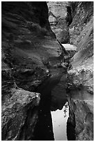 Reflections in narrows, Behunin Canyon. Zion National Park ( black and white)