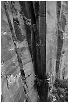 Sandstone cliffs. Zion National Park ( black and white)