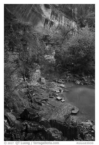 Lower Emerald Pool with drip from Middle Emerald Pool. Zion National Park (black and white)