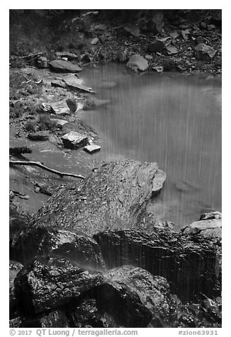 Water from Middle Emerald Pool drips into Lower Emerald Pool. Zion National Park (black and white)