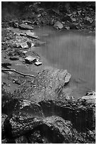 Water from Middle Emerald Pool drips into Lower Emerald Pool. Zion National Park ( black and white)