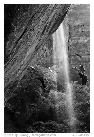 Waterfall on alcove above Lower Emerald Pool. Zion National Park (black and white)