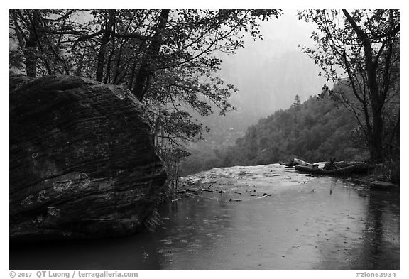 Middle Emerald Pool and raindrops. Zion National Park (black and white)