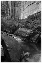 Boulders, Upper Emerald Pool. Zion National Park ( black and white)