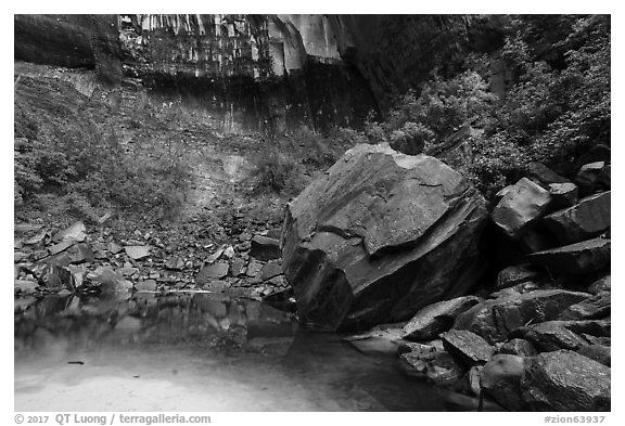 Upper Emerald Pool. Zion National Park (black and white)