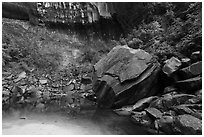 Upper Emerald Pool. Zion National Park ( black and white)