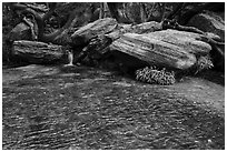 Stream flows over travertine, Middle Emerald Pool. Zion National Park ( black and white)