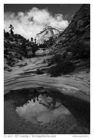 Pothole and reflection, Zion Plateau. Zion National Park (black and white)
