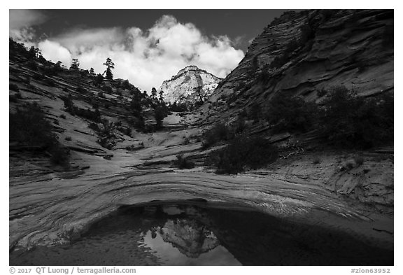 Peak reflected in pothole, Zion Plateau. Zion National Park (black and white)