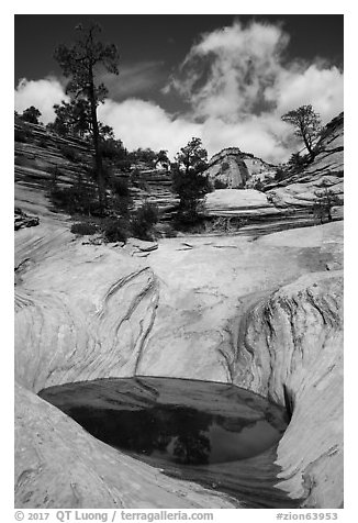 Pothole and slickrock, Zion Plateau. Zion National Park (black and white)