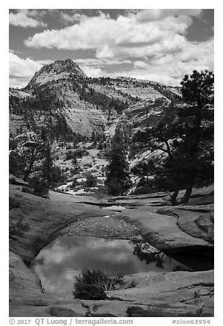 Pothole, Zion Plateau. Zion National Park (black and white)