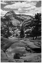 Pothole, Zion Plateau. Zion National Park ( black and white)