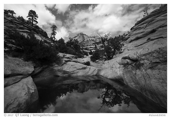 Large pothole, Many Potholes area, Zion Plateau. Zion National Park (black and white)