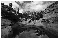 Large pothole, Many Potholes area, Zion Plateau. Zion National Park ( black and white)