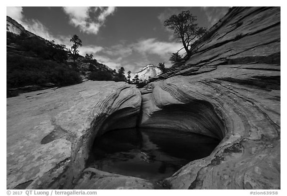 Pothole and slickrock, Zion Plateau. Zion National Park (black and white)