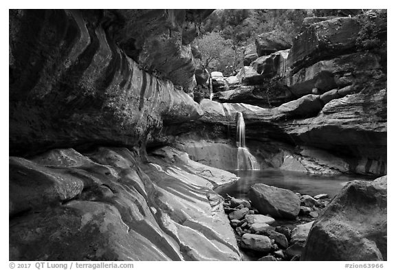 Pine Creek Canyon with waterfall. Zion National Park (black and white)