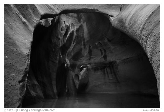 Cathedral chamber, Pine Creek Canyon. Zion National Park (black and white)