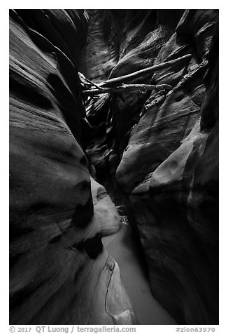 Logs jammed high in Pine Creek Canyon narrows. Zion National Park (black and white)