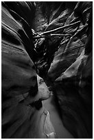 Logs jammed high in Pine Creek Canyon narrows. Zion National Park ( black and white)