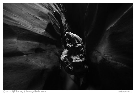 Log jammed in dark Pine Creek Canyon narrows. Zion National Park (black and white)