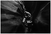 Log jammed in dark Pine Creek Canyon narrows. Zion National Park ( black and white)