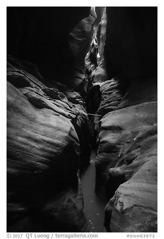 Subterranean Pine Creek Canyon narrows. Zion National Park (black and white)
