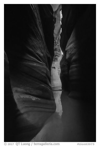 Glowing wall, Pine Creek Canyon slot. Zion National Park (black and white)