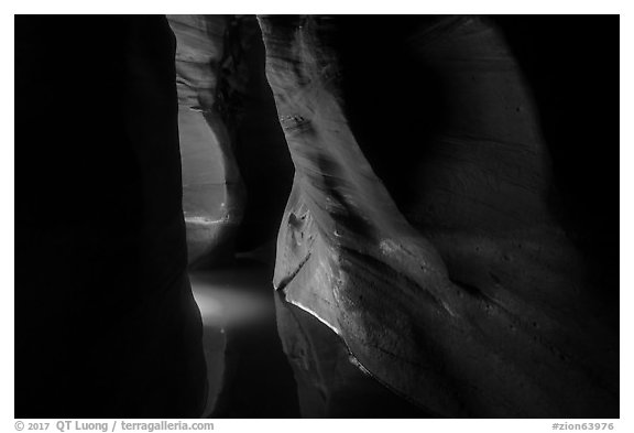 Light in flooded narrows, Pine Creek Canyon. Zion National Park (black and white)
