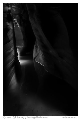 Light in dark flooded Pine Creek Canyon. Zion National Park (black and white)