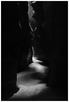 Pine Creek Canyon floor. Zion National Park ( black and white)
