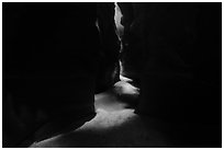 Pine Creek Canyon floor between narrow walls. Zion National Park ( black and white)