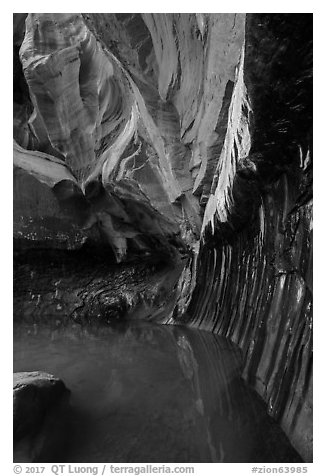 Room with striated walls, Pine Creek Canyon. Zion National Park (black and white)