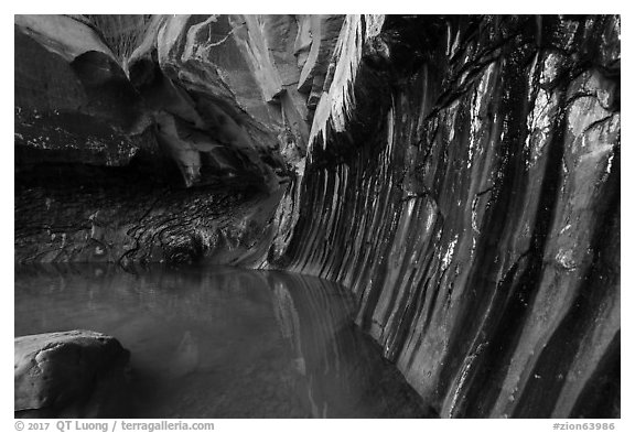 Chamber with striated walls, Pine Creek Canyon. Zion National Park (black and white)