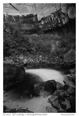 Upper Emerald Pool and cliffs. Zion National Park (black and white)