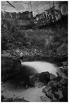 Upper Emerald Pool and cliffs. Zion National Park ( black and white)