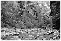 Virgin River flowing over stones in the Narrows. Zion National Park, Utah, USA. (black and white)