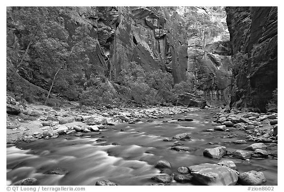 Virgin River in  Narrows. Zion National Park, Utah, USA.