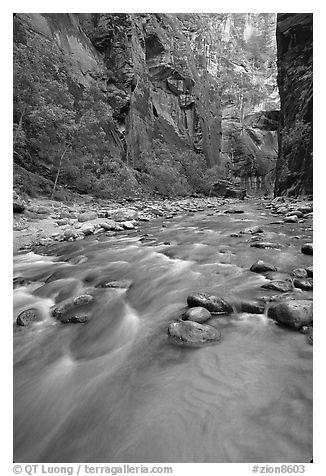 Virgin River and steep canyon walls in the Narrows. Zion National Park, Utah, USA.