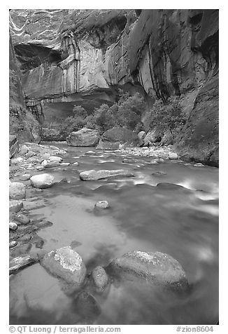 Rock alcove and Virgin River, the Narrows. Zion National Park, Utah, USA.