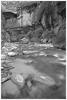 Rock alcove and Virgin River, the Narrows. Zion National Park, Utah, USA. (black and white)