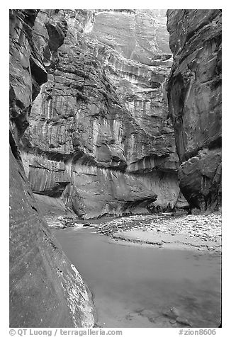 Bend of  Virgin Rivers in the Narrows. Zion National Park, Utah, USA.