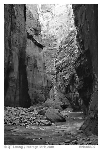 Tall walls in the Narrows. Zion National Park, Utah, USA.