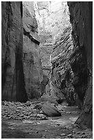 Tall walls in the Narrows. Zion National Park, Utah, USA. (black and white)