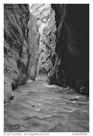 Virgin River flowing between  rock walls of Wall Street, the Narrows. Zion National Park, Utah, USA.