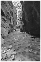 Virgin River at Wall Street, the Narrows. Zion National Park, Utah, USA. (black and white)