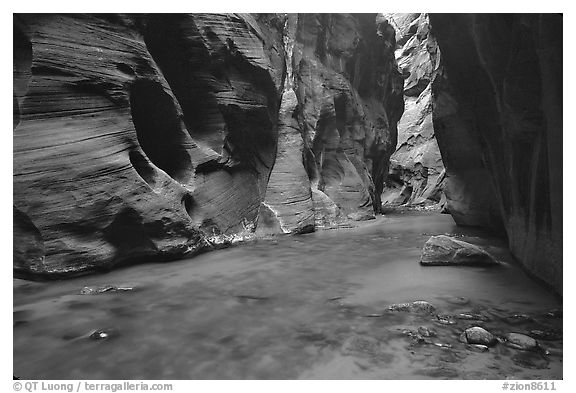 Dark canyon at Wall Street, the Narrows. Zion National Park, Utah, USA.