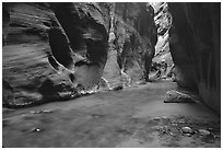 Dark canyon at Wall Street, the Narrows. Zion National Park, Utah, USA. (black and white)