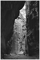 Section of the Narrows called Wall Street. Zion National Park, Utah, USA. (black and white)