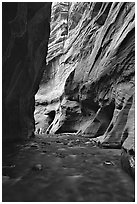 Tall sandstone walls of Wall Street, the Narrows. Zion National Park, Utah, USA. (black and white)