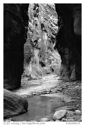 Wall Street, the Narrows. Zion National Park, Utah, USA.